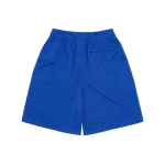 Corteiz Og Alcatraz Mesh Blue Shorts